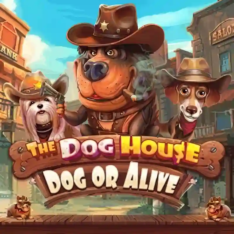 The Dog House – Dog or Alive